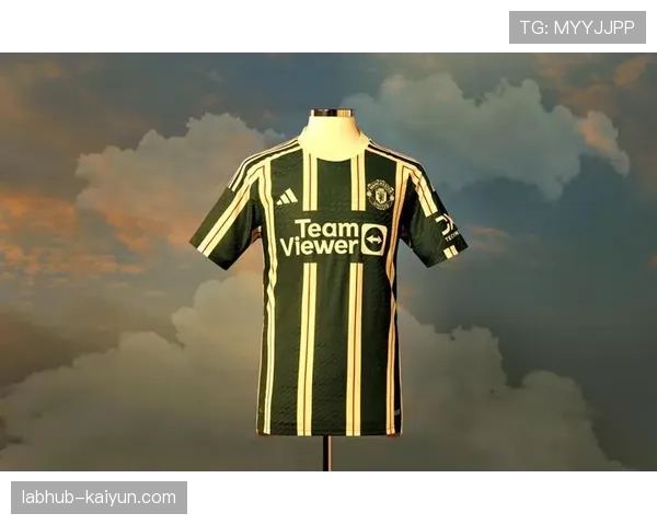 英超俱乐部球衣赞助收入排行榜公布，曼彻斯特双雄位居前二。